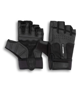 TORONTO gloves