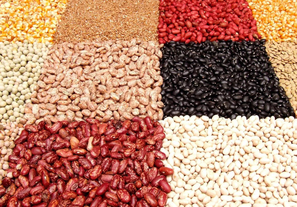 Laten we meer te weten komen over 11 plantaardige eiwitbronnen