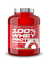 Scitec 100% Whey Protein Professional 1816g